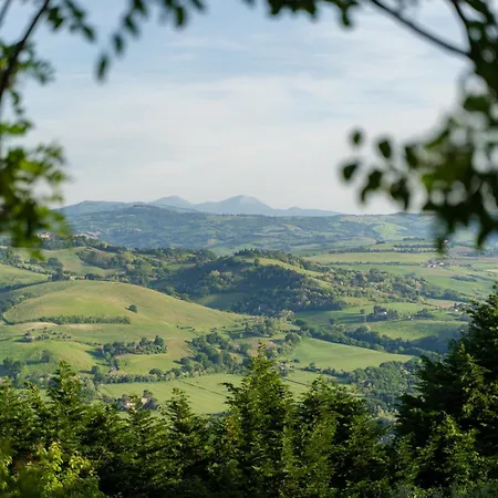Belvedere, Con Piscina E Giardino Esclusivo, Vista Panoramica, Piccola Palestra, 3 Camere,2 Bagni